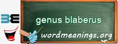 WordMeaning blackboard for genus blaberus